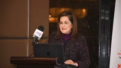 «التخطيط»: إنشاء 5 جامعات تكنولوجية.. ونصل لـ13 حاضنة بنهاية 2021-2022