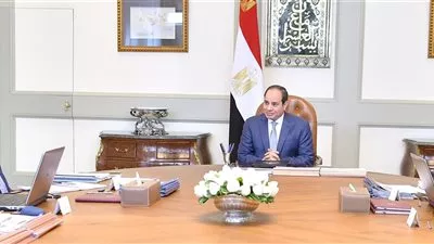 السيسي يوجه بمواصلة تنفيذ مشروعات الربط الكهربائي مع دول الجوار