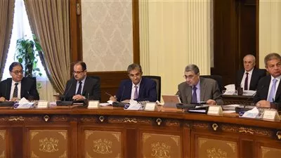 الحكومة تناقش خطة للقضاء على فيروس سي بحلول 2020