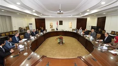 مصر والسويد تبحثان التعاون في مجال النقل الذكي المستدام بالمدن الجديدة