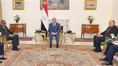 السيسي يؤكد سعى  مصر لإنجاح المفاوضات الجارية بشأن سد النهضة