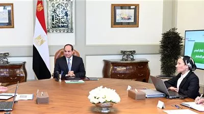 السيسي يوجه بتنمية القطاع البيئي واستغلاله سياحياً واستثمارياً