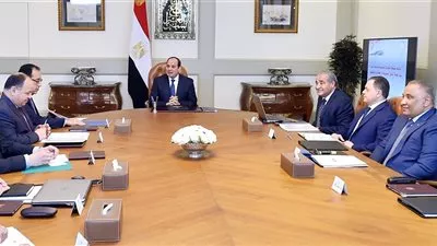 السيسي يوجه بتوفير السلع الأساسية واحتياجات المواطنين بأسعار مناسبة