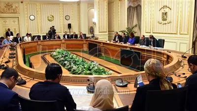 الوزراء: تخصيص قطعة أرض بمطروح لشركة البحيرة لتوزيع الكهرباء