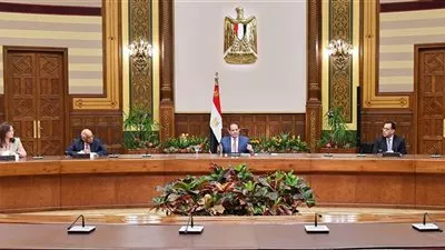 السيسي: ضم العلاوات الخمس لأصحاب المعاشات بنسبة 80% من الأجر الأساسي