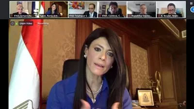 «المشاط»: نتعاون مع المؤسسات الدولية لتخفيف الآثار السلبية لـ «كورونا»