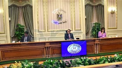 إنشاء مجلس أعلى للصحة برئاسة «مدبولى»