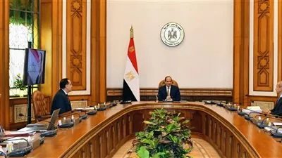 السيسي يوجه بتحقيق الاكتفاء الذاتي من المحاصيل ودعم مشروع البتلو
