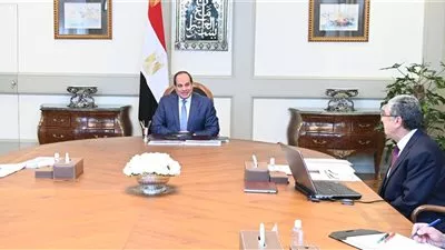 السيسى يوجه بتطبيق برنامج القراءات الموحد على استخدامات التيار الكهربائي