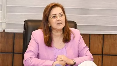 وزيرة التخطيط: توجيه 40 مليار جنيه لتحسين البنية المعلوماتية خلال 3 سنوات