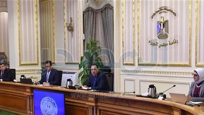 الحكومة تتيح الكشف والعلاج لمصابى «كورونا» دون التقيد بمحل الإقامة