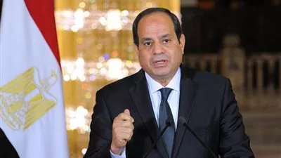 السيسى يبحث مع نظيره القبرصى تعزيز التعاون المشترك 