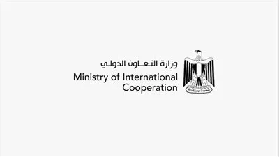 استعدادًا لـ COP27.. «التعاون الدولي» تنظم دورة تدريبية حول تمويل المناخ 