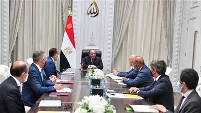 السيسي يبحث التعاون مع إيني الإيطالية في مشروعات الطاقة المتجددة