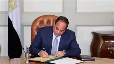 السيسي يكلف عمرو عادل بالقيام بأعمال رئيس هيئة الرقابة الادارية