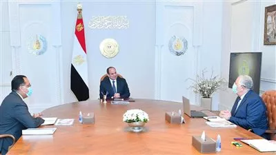 السيسي يوجه بمراجعة أسعار التوريد الاسترشادية للمحاصيل الزراعية قبيل موسم الحصاد 