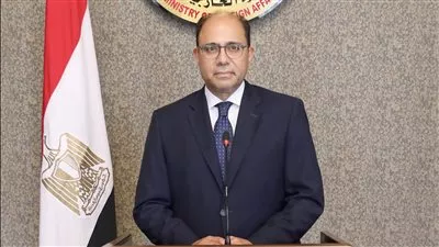  الخارجية: بيان إثيوبيا بشأن قمة جدة محاولة يائسة للوقيعة بين العرب والأفارقة