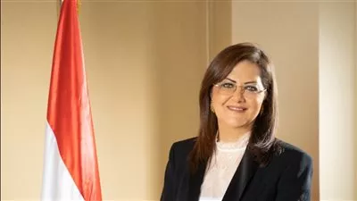 تأسيس صندوق مصر الفرعى لإدارة وإعادة هيكلة الأصول ذو الإصدارات المتعددة