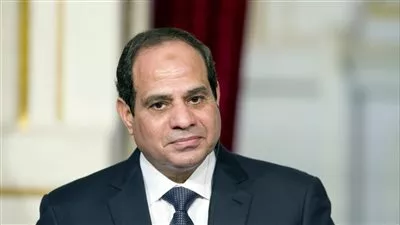 السيسي: حريصون على توفير مخزون من السلع لا يقل عن 6 أشهر