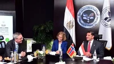 «سكاتك» تخطط لضخ استثمارات جديدة بالمشروعات الخضراء فى مصر