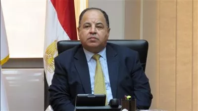 وزير المالية: تشكيل أول لجان طعن ضريبي «مدمجة» للتيسير على الممولين 