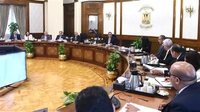 برعاية الرئيس السيسي.. مصر تستعد لإطلاق الاستراتيجية الوطنية للملكية الفكرية