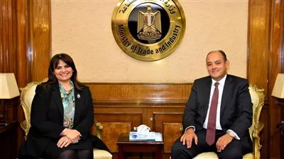 وزيرا الصناعة والهجرة يبحثان فرص مشاركة المصريين بالخارج في المشروعات التنموية 