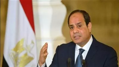 الرئيس السيسي: مصر ستظل داعمة وحريصة على استقرار شعوب المنطقة العربية