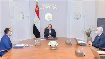 السيسي يتابع الرؤية الاستراتيجية لوزارة التعليم العالي والبحث العلمي