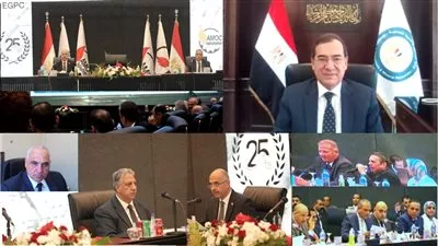 ارتفاع صافي أرباح «أموك» إلى مليار جنيه في 2021-2022 