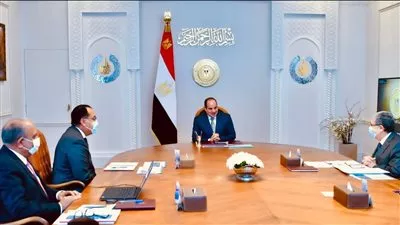 السيسي يستعرض جهود تطوير منظومة صناعة الألمونيوم في مصر