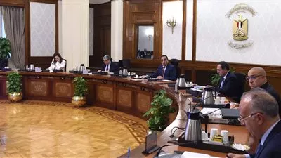 رئيس الوزراء يتابع الموقف التنفيذي لمشروع «مستقبل مصر»