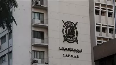 الإحصاء: ارتفاع عدد سكان مصر بالداخل إلى 104 ملايين نسمة 