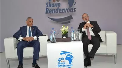 رئيس هيئة الرقابة المالية: ربط شركات التأمين بقواعد البيانات