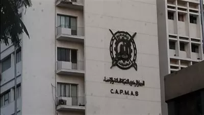 الإحصاء: 73.1 % زيادة في عدد الوحدات السكنية المنفذة خلال 2020-2021 