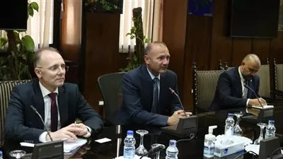 مباحثات مصرية بلغارية لتعزيز التعاون في مشروعات الكهرباء والطاقة المتجددة