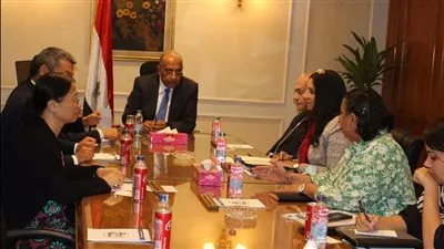 وزير قطاع الأعمال يبحث زيادة استثمارات «هاندا» الصينية في مصر