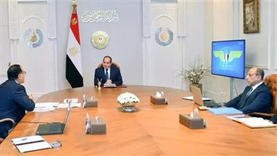 الرئيس السيسي يتابع الاستراتيجية المستقبلية لقطاع الطيران المدني