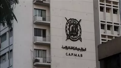 «الإحصاء» يعلن بدء البث التجريبي لمرصد «بيانات مصر»