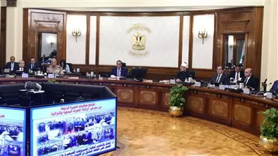 مجلس الوزراء يوافق على مد الإعفاء من مقابل الجُعل