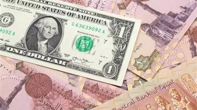 استقرار أسعار الدولار وارتفاع اليورو والاسترليني مقابل الجنيه المصري