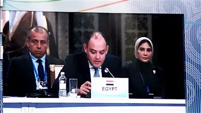 وزير التجارة والصناعة يعلن ترحيب مصر بمفاوضات تحويل «سيكا» إلى منظمة إقليمية دولية