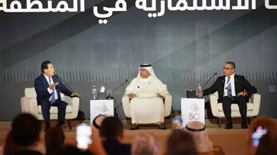 «السادات»: تواصل دائم بين مصر والإمارات لإزالة المعوقات أمام المستثمرين