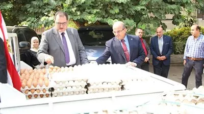«الزراعة» تطرح كميات من بيض المائدة بسعر 72 جنيه للكرتونة 