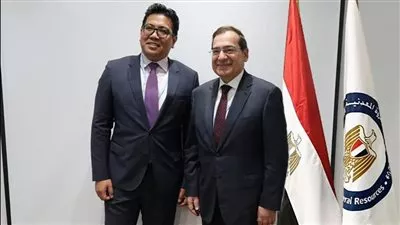 وزير البترول يبحث مع «بتروناس» الماليزية زيادة استثماراتها في مصر 