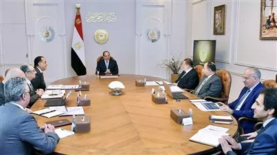 السيسي يوجه بتركيز مشروعات المنطقة الاقتصادية لقناة السويس على توطين التكنولوجيا