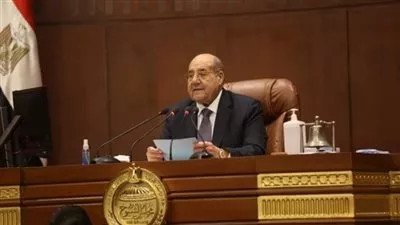 رئيس مجلس الشيوخ: COP 27 أعاد مصر لمستوى القمة بين دول العالم