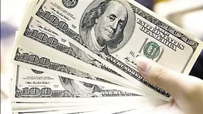 سعر الدولار بالبنوك المصرية اليوم الثلاثاء 15 نوفمبر 2022