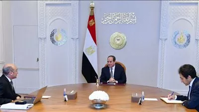 السيسي يتابع جهود تطوير منظومة التقاضي ويوجه بفتح فروع جديدة للشهر العقاري