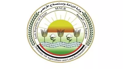 «البحوث الزراعية»: تدشين غرفة عمليات لمتابعة محصول القمح من الزراعة إلى الحصاد